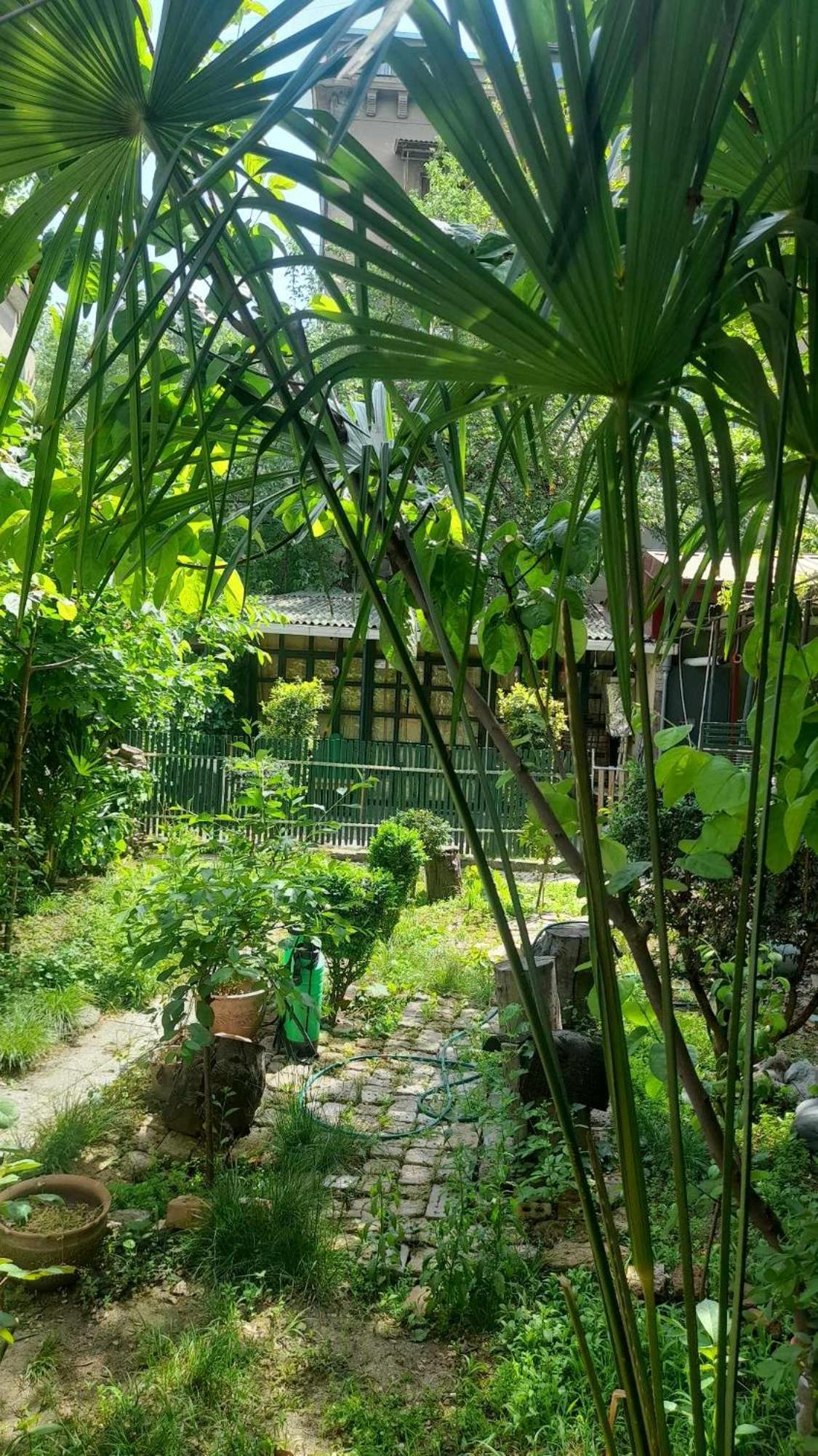 Gardens In Vake, Tbilisi Hotel Eksteriør billede